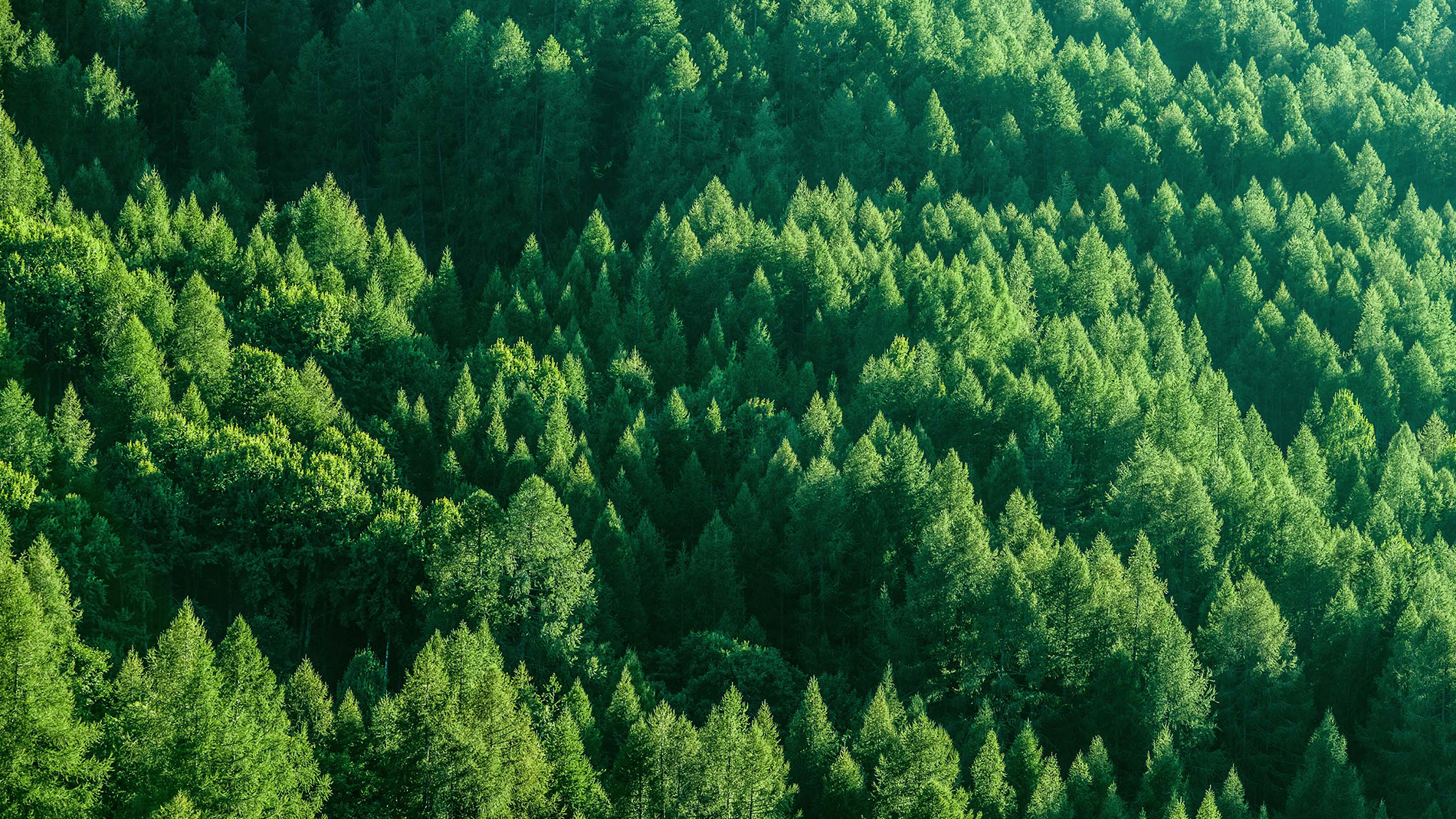 Giảm ô nhiễm và phát thải Giảm ô nhiễm và phát thải