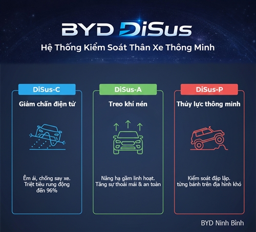 Hệ Thống BYD DiSus 